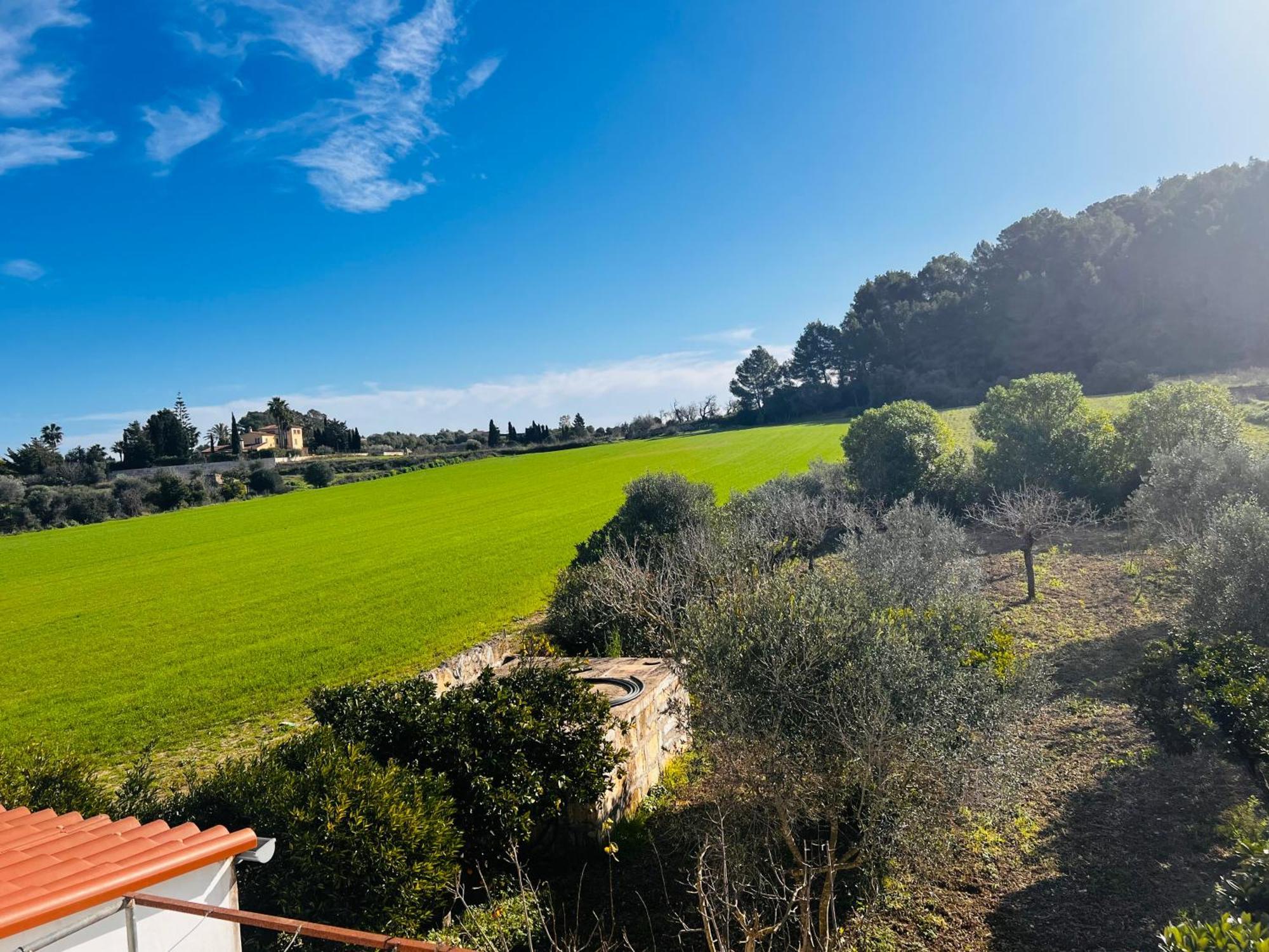 Es Puig Βίλα Santa Margalida Εξωτερικό φωτογραφία