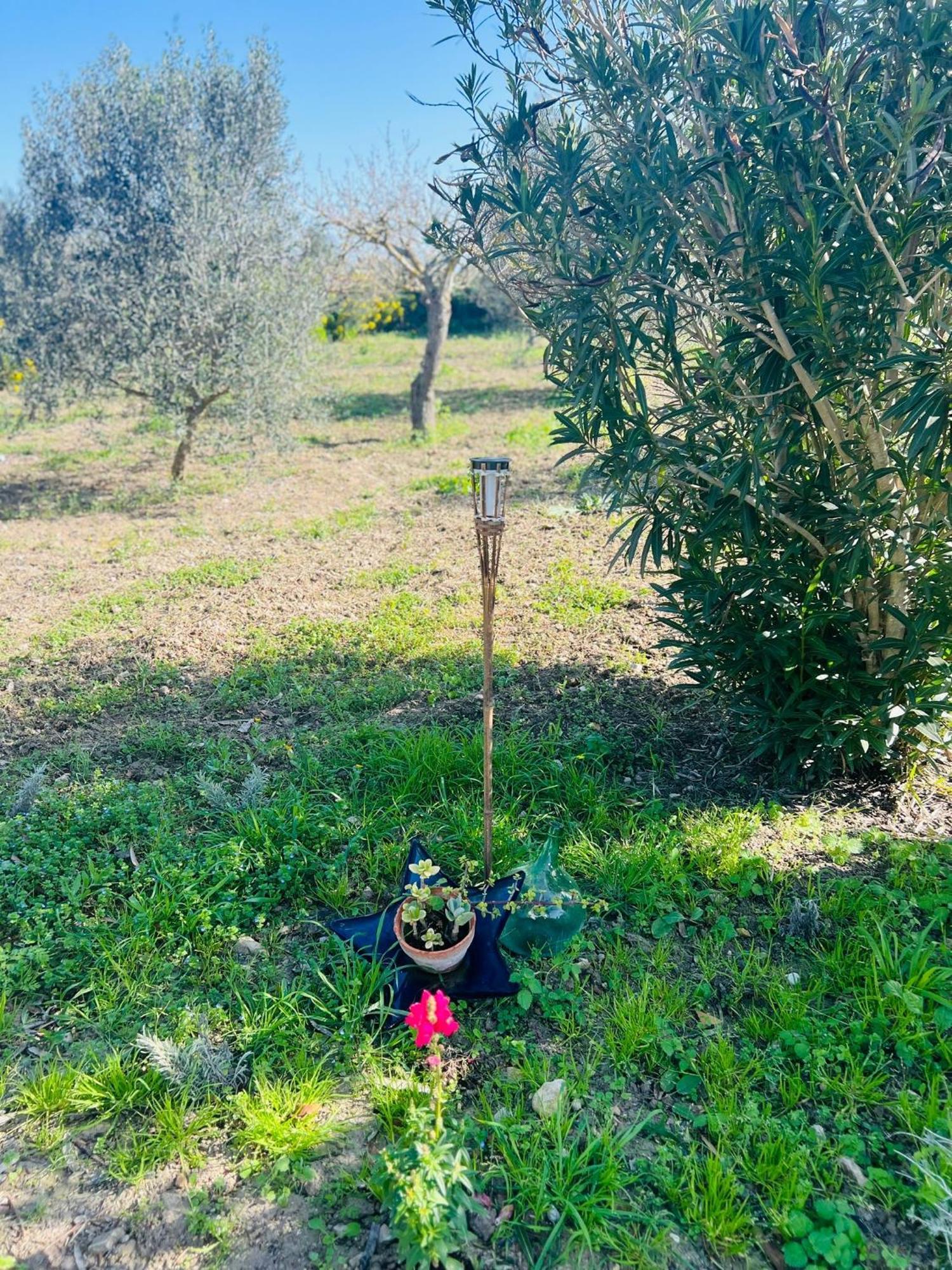 Es Puig Βίλα Santa Margalida Εξωτερικό φωτογραφία