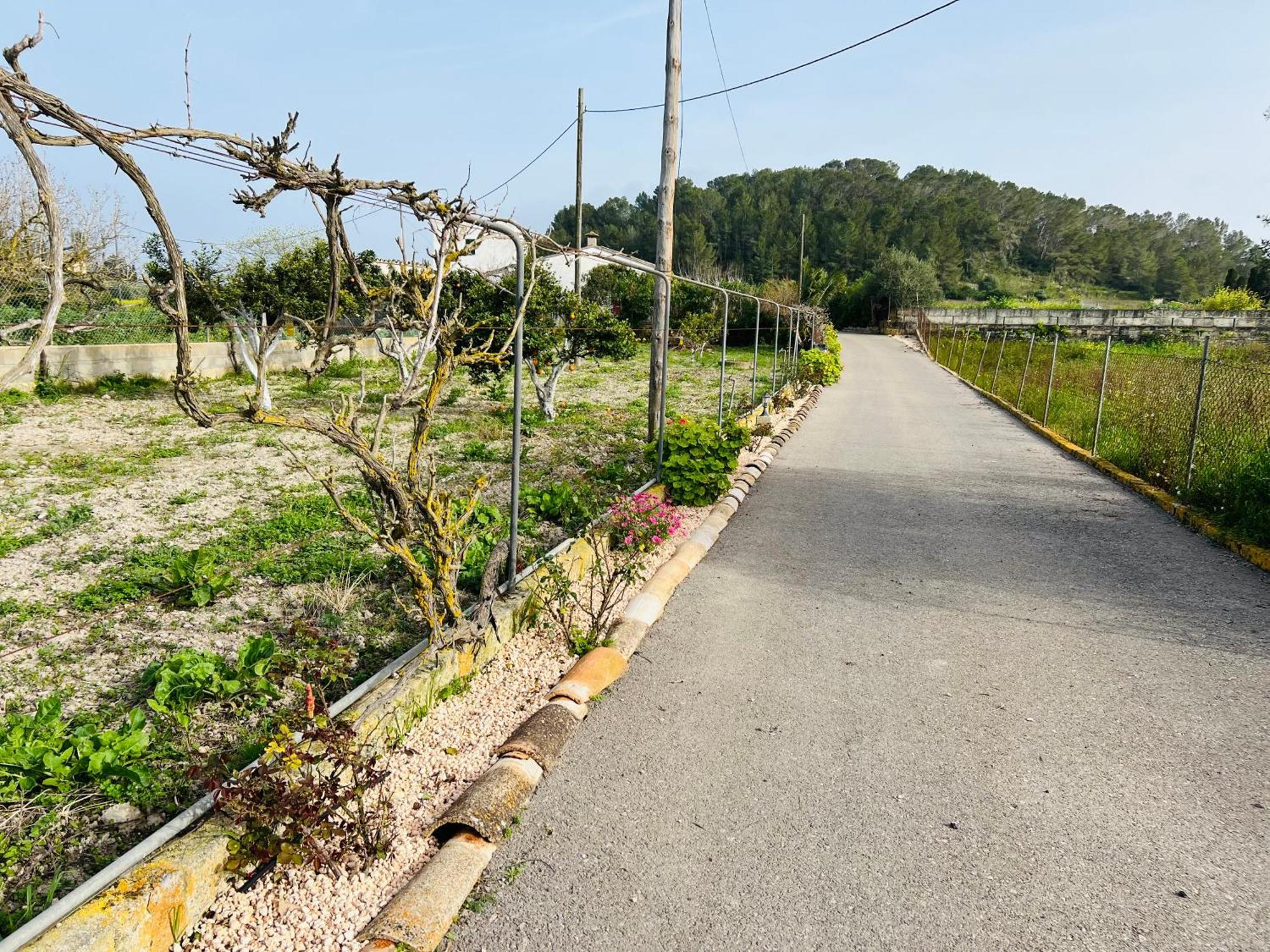 Es Puig Βίλα Santa Margalida Εξωτερικό φωτογραφία